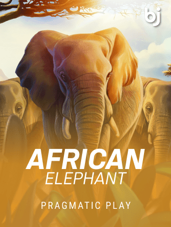 African Elephantpng thumbnail